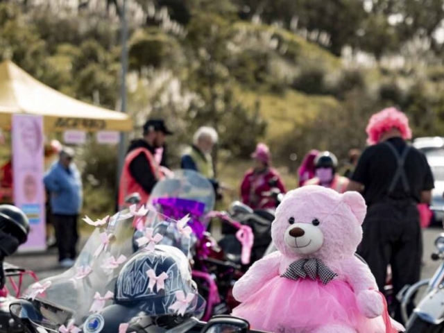 Pink Ribbon Ride